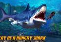 Shark.io screenshot 11