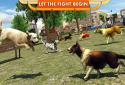 Street Dog Simulator 3D screenshot 3