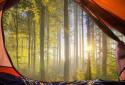 In Tent Live Wallpaper screenshot 8