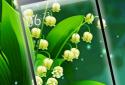 Transparent Live Wallpaper screenshot 1
