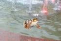 Pocket Animals GO screenshot 2