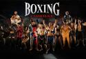 Boxing Combat screenshot 1
