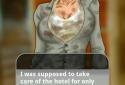 Casanova - Hotel screenshot 2