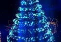 Christmas Live Wallpaper screenshot 5