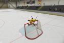 Virtual Goaltender screenshot 8