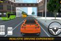 Parking Frenzy 3D Simulator screenshot 1