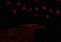 Evilnessa: The Cursed Place screenshot 6
