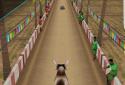 Jallikattu Run screenshot 6