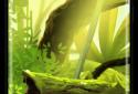 Mossy Forest Live Wallpaper screenshot 5