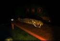 Candles of the Dead screenshot 3