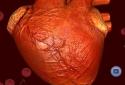 Heart Battery Live Wallpaper screenshot 6