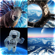 MOSAIC 2.5 D Wallpapers