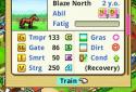 Pocket Stables screenshot 5