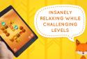 WTF?! Relaxing Brain Game screenshot 13