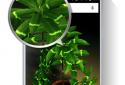 My 3D plant screenshot 4