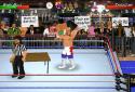 Booking Revolution (Wrestling) screenshot 8
