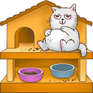 Cats house