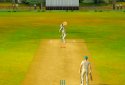 Cricket Megastar screenshot 2