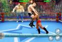 World Wrestling Revolution Tag Team Championship screenshot 1