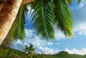 Tropical Beach Live Wallpaper screenshot 1