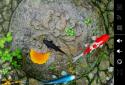 Koi Free Live Wallpaper 3D screenshot 2