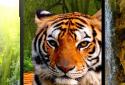 Animals 3D parallax live wallpaper screenshot 1 Animals 3D parallax live wallpaper screenshot 1