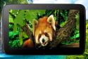 Animals 3D parallax live wallpaper screenshot 10 Animals 3D parallax live wallpaper screenshot 10