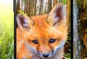 Animals 3D parallax live wallpaper screenshot 2 Animals 3D parallax live wallpaper screenshot 2