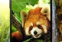 Animals 3D parallax live wallpaper screenshot 4 Animals 3D parallax live wallpaper screenshot 4