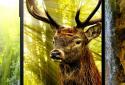 Animals 3D parallax live wallpaper screenshot 7 Animals 3D parallax live wallpaper screenshot 7