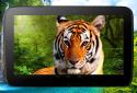 Animals 3D parallax live wallpaper screenshot 8 Animals 3D parallax live wallpaper screenshot 8