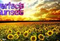 Coucher de soleil parfait screenshot 8