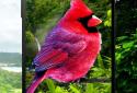 Birds 3D parallax live wallpaper screenshot 1 Birds 3D parallax live wallpaper screenshot 1