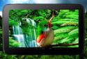 Birds 3D parallax live wallpaper screenshot 10 Birds 3D parallax live wallpaper screenshot 10