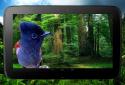 Birds 3D parallax live wallpaper screenshot 11 Birds 3D parallax live wallpaper screenshot 11