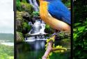 Birds 3D parallax live wallpaper screenshot 2 Birds 3D parallax live wallpaper screenshot 2