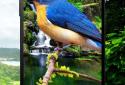 Birds 3D parallax live wallpaper screenshot 3 Birds 3D parallax live wallpaper screenshot 3