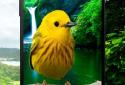 Birds 3D parallax live wallpaper screenshot 4 Birds 3D parallax live wallpaper screenshot 4