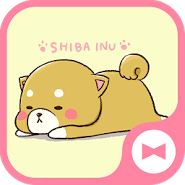 Dog Wallpaper Cute Mini Shiba Theme Dog Wallpaper Cute Mini Shiba Theme
