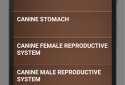Dog Anatomy : Canine Anatomy screenshot 5