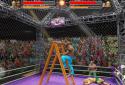 Cage Wrestling Revolution: Ladder Match Fighting screenshot 1