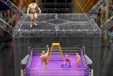 Cage Wrestling Revolution: Ladder Match Fighting screenshot 2