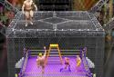 Cage Wrestling Revolution: Ladder Match Fighting screenshot 7