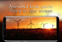 Windmill Live Wallpaper screenshot 10