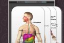 Anatomy Game Anatomicus Pro screenshot 3