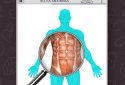 Anatomy Game Anatomicus Pro screenshot 4