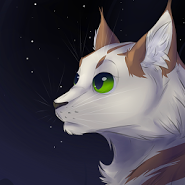 The Message Of The Stars