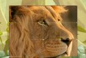 Brain Breaker Plus screenshot 6 Brain Breaker Plus screenshot 6