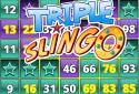 Adventure Slingo Bingo & Slots screenshot 1