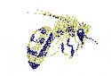 Anamorph screenshot 3